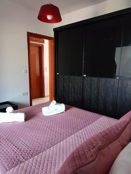 Layla Home Alexandrpoupolis أليكسانثيربوليس المظهر الخارجي الصورة