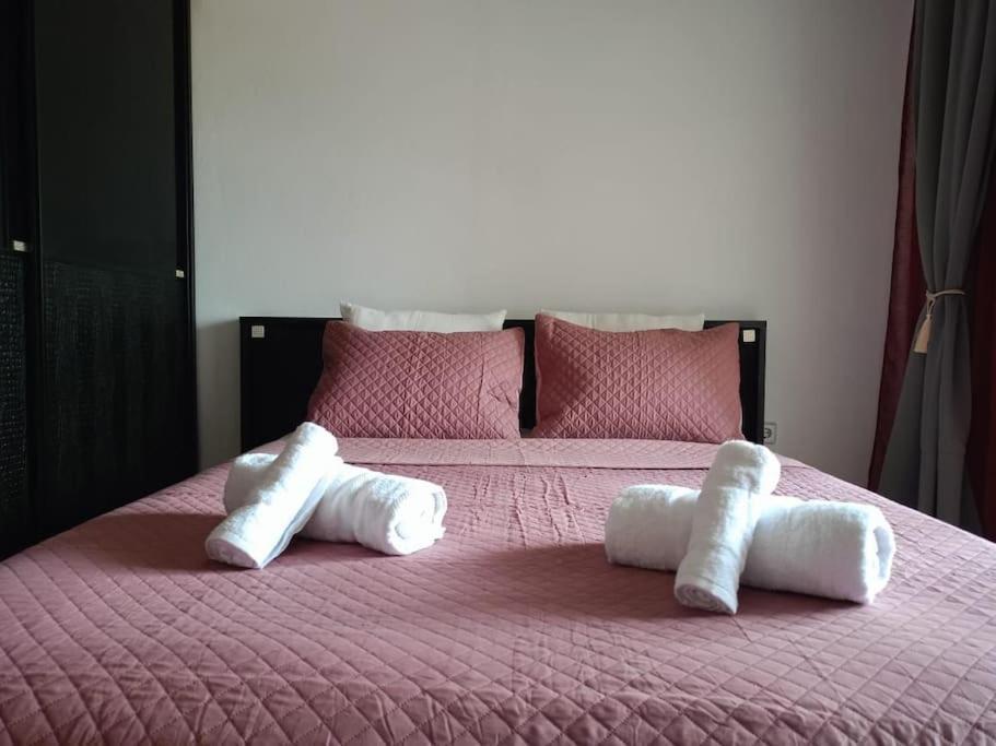Layla Home Alexandrpoupolis أليكسانثيربوليس المظهر الخارجي الصورة